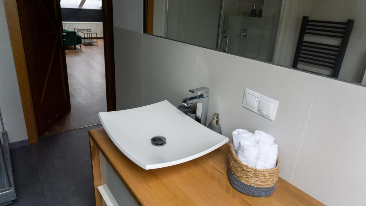 Loft W Centrum Gliwic Lejlighed Gliwice Eksteriør billede